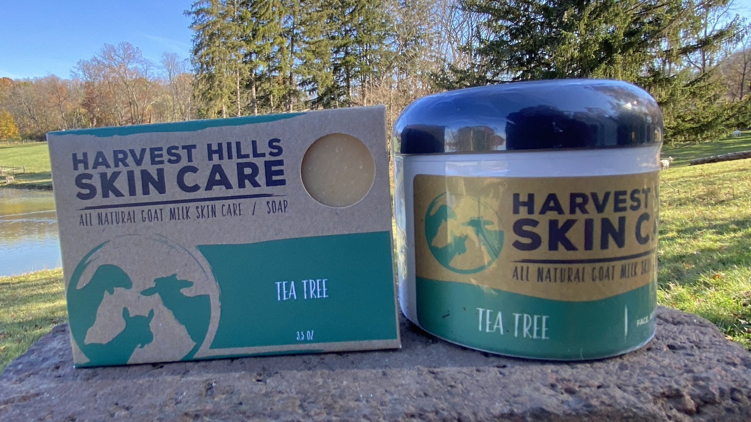 Tea-Tree-Soap-and-Moisturizer Harvest Hills Skin Care, LLC