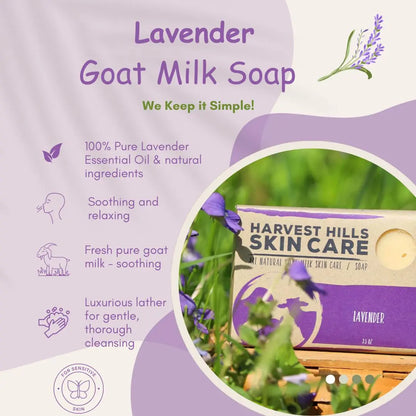 Lavender Goat Milk Soap Harvest Hills Skin Care All Natural Goat Milk Skin Care