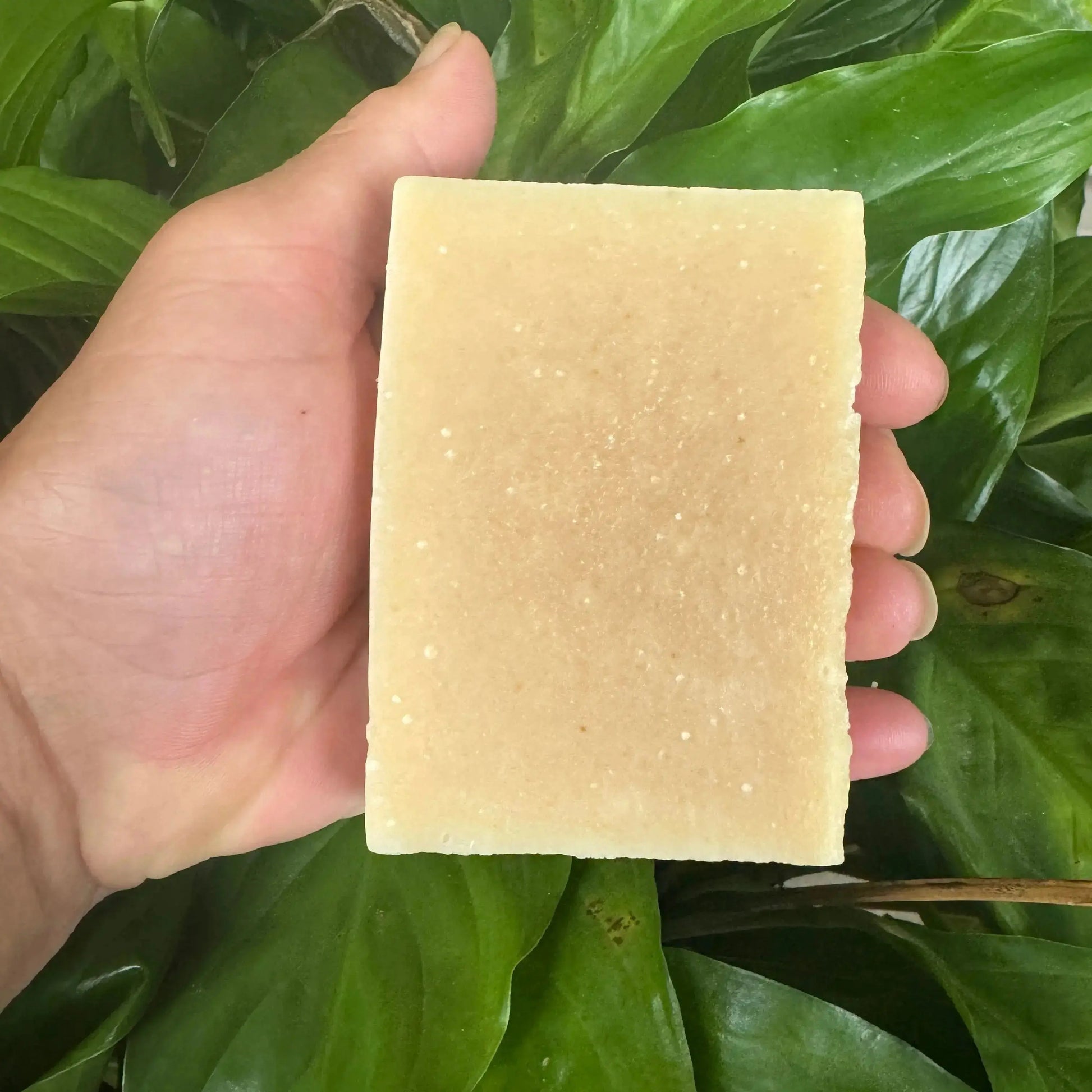 Lemon Fresh Mint Soap Harvest Hills Skin Care All Natural Goat Milk Skin Care