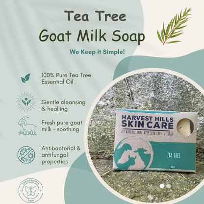 Tea Tree Soap Harvest Hills Skin Care All Natural Goat Milk Skin Care